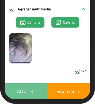 finalizar_inspeccion_app.png